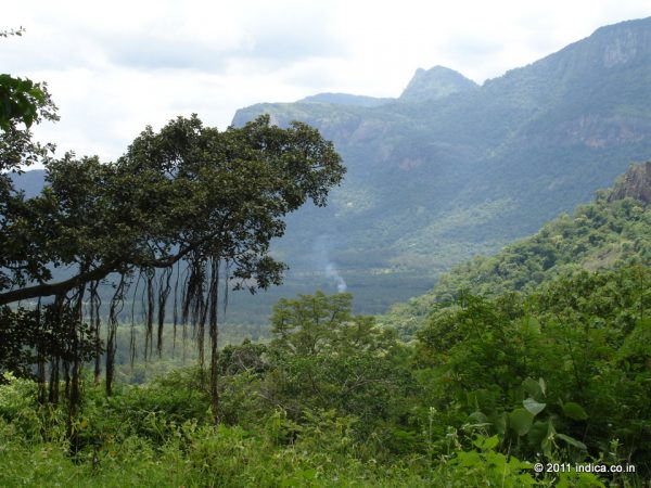 Near Anamudi