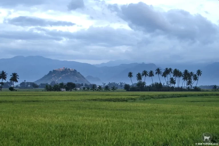 Palani Hills