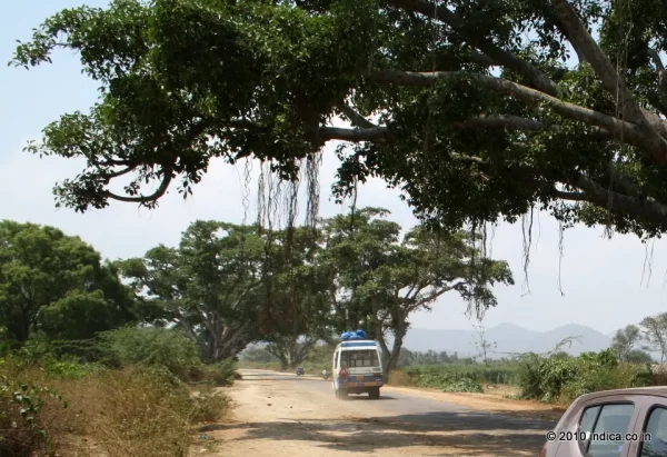 Road to Bandipur after the Gundlupet diversion.