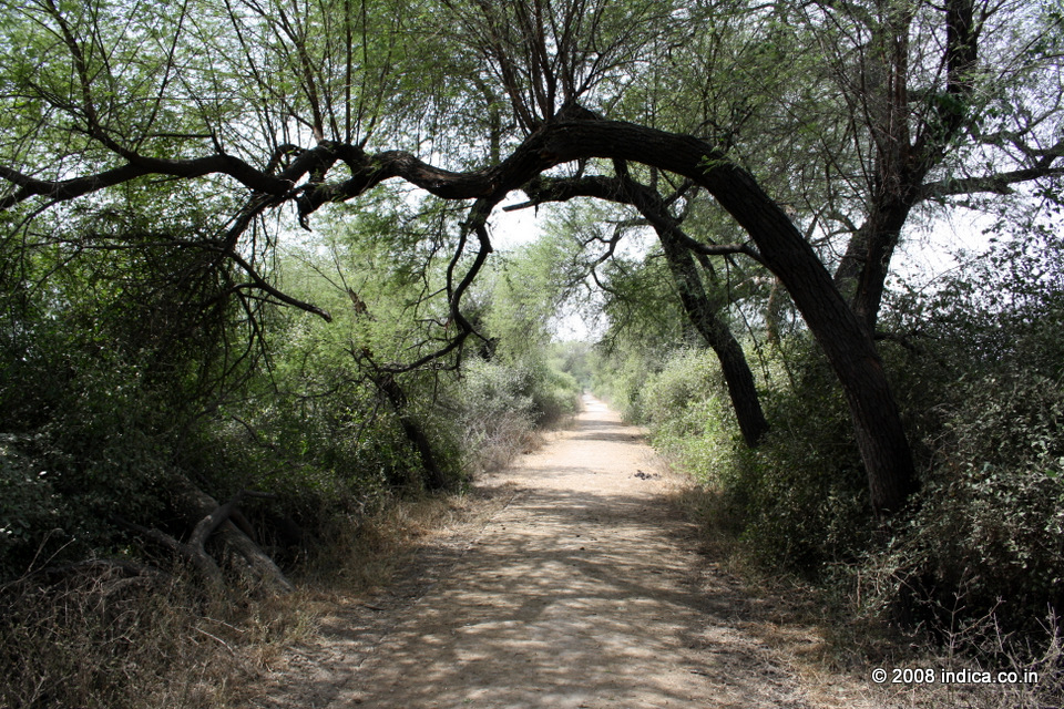 There are numerous such  trails in the park.