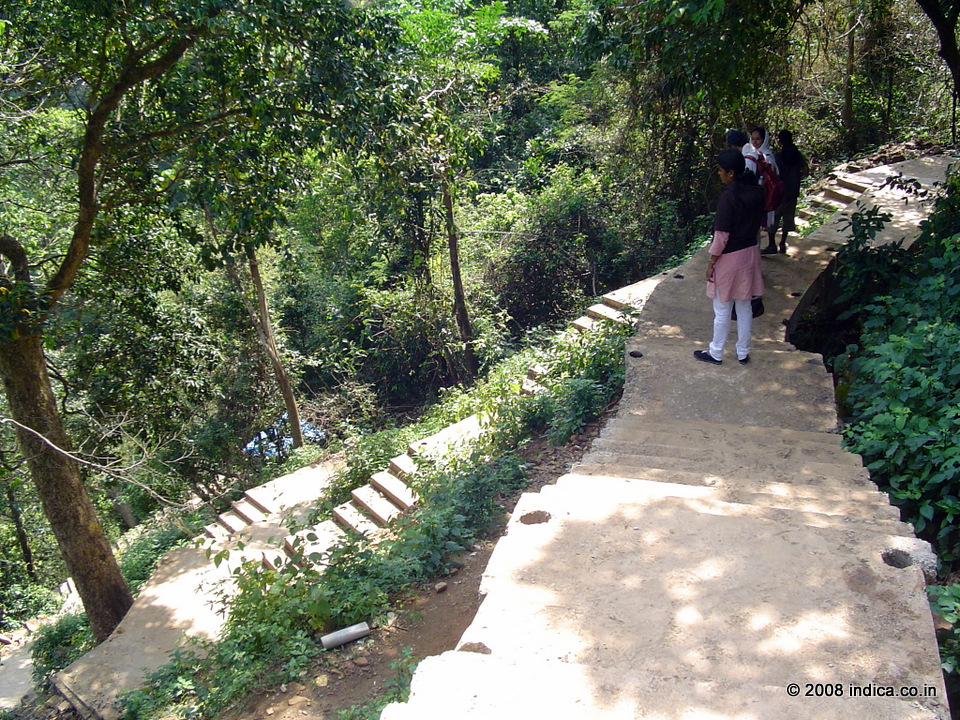 Trek path to Jog Falls. Beyond a point, the constructed steps ends, and you have to use the rocky trails to reach the base of Jog Falls.