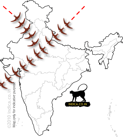 Bird migratory path in northwest India