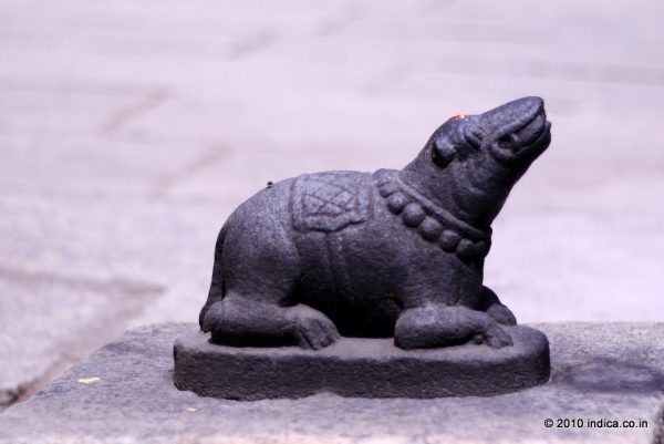Mouse image in front of the Ganapati shrine