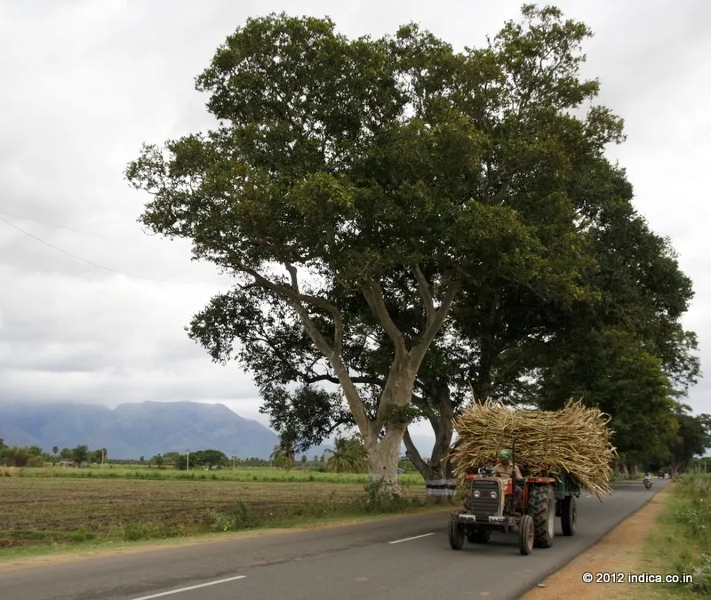 NH208 from Kollam to Madurai is a scenic route
