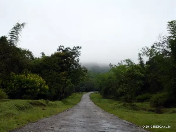Road in Nagarhole