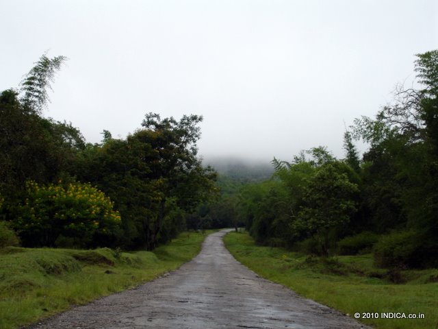Road in Nagarhole