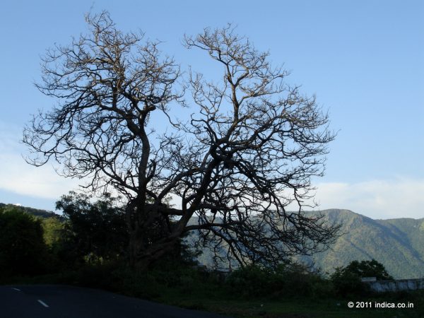 View from Dimbam, before the hairpins start