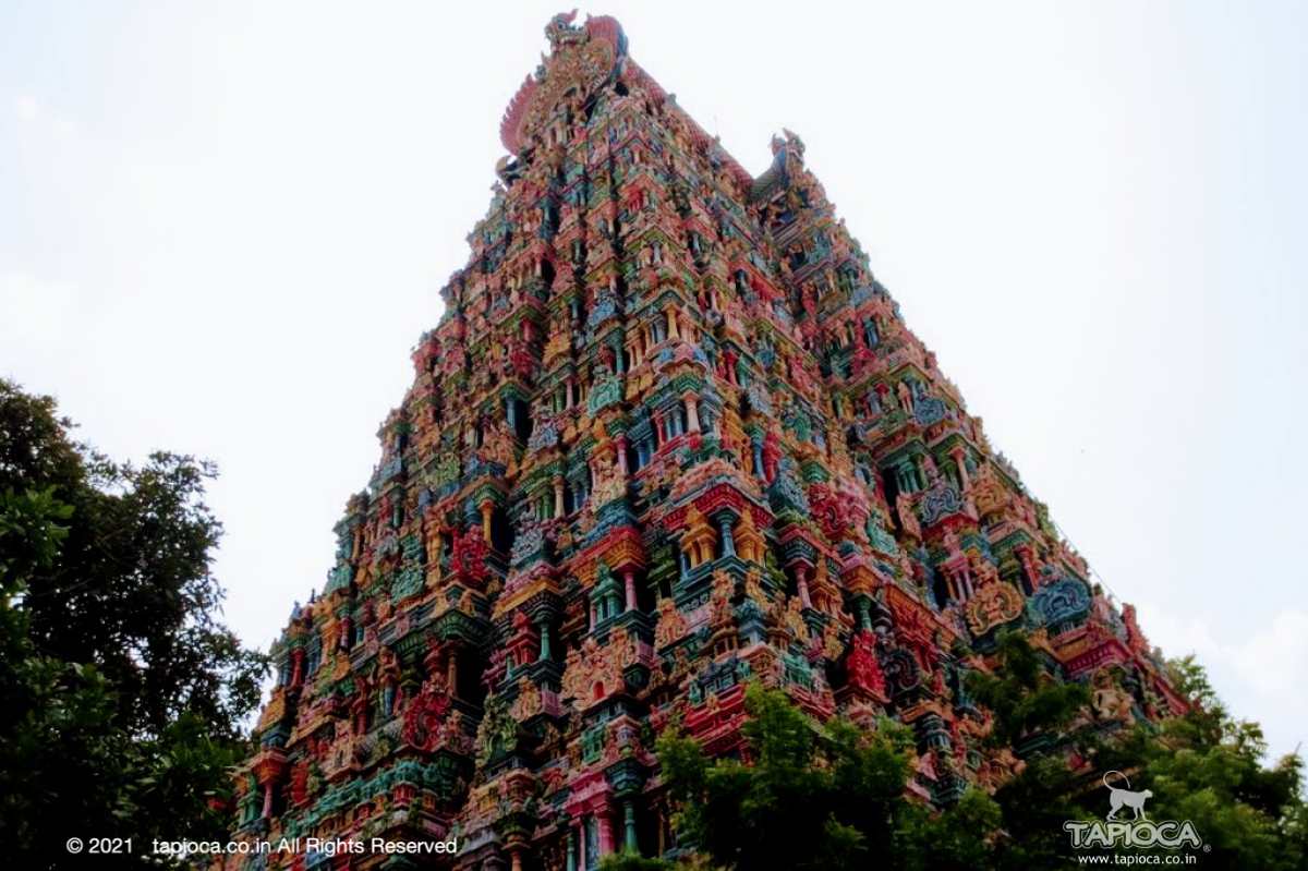 The stucco extravaganza at the Meenakshi Temple in Madurai.