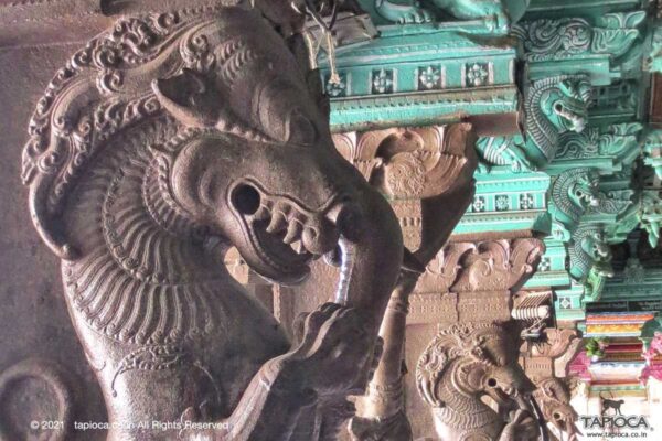 A mythical creature called Yali ( Vyala or Sarabham or Vidala in Sanskrit) adorns the pillars of Madurai Meenakshi Temple.