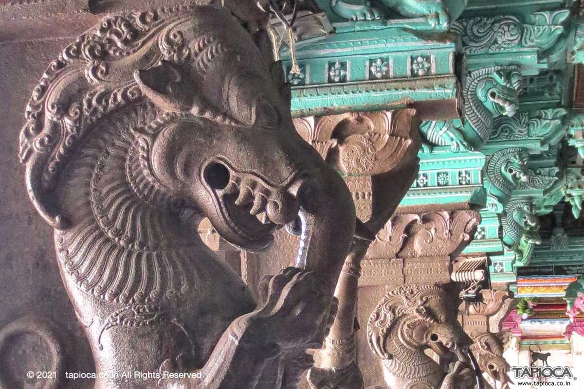  A mythical creature called Yali ( Vyala or Sarabham or Vidala in Sanskrit) adorns the pillars of Madurai Meenakshi Temple.
