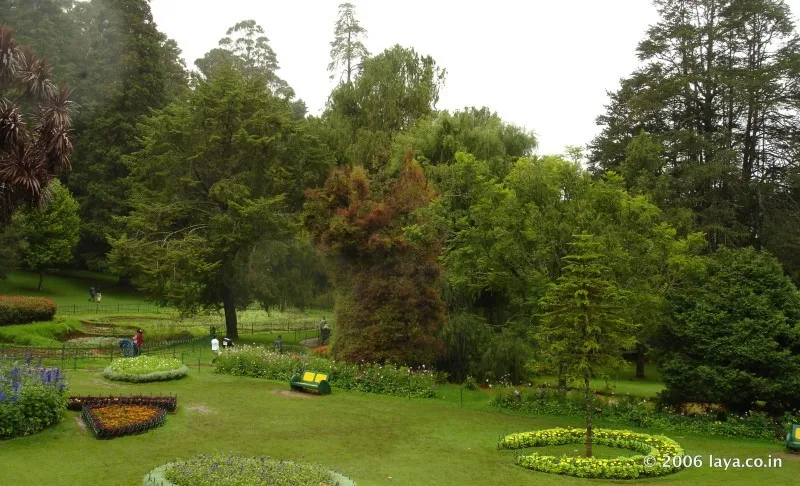 Lawn in Botanical Garden at Ooty