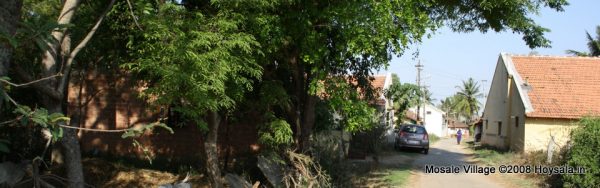 Mosale Village