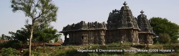 Nageshvara and Chennakeshava Temples at Mosale