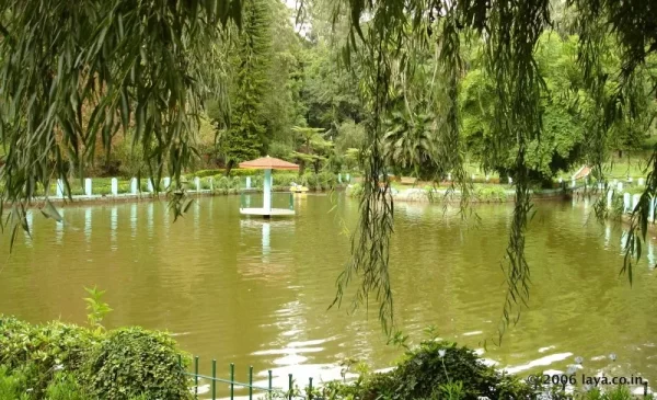 Pond in Sims Park