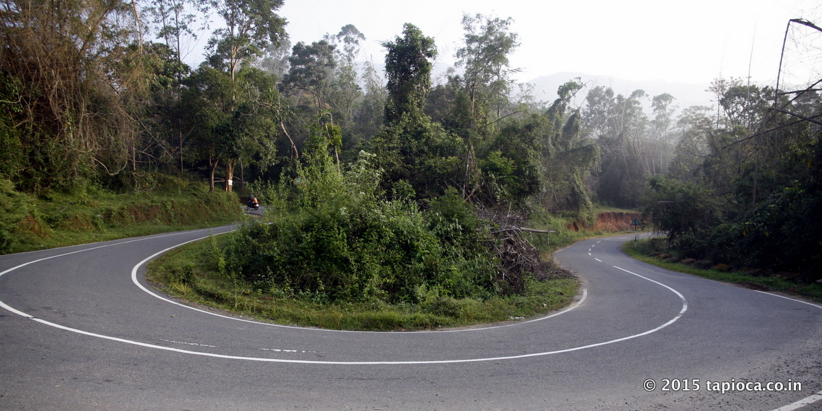 Road Near Tamarind Hotel in Thirunelli.