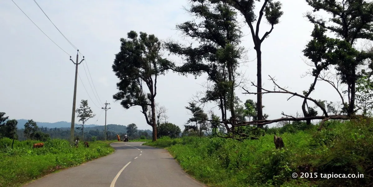 Road in Wayanad on the way to Thirunelli