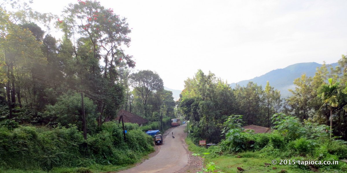 Road to Thirunelli Temple