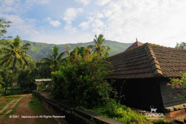 Thirunelli Temple with Brahmagiri Mountain