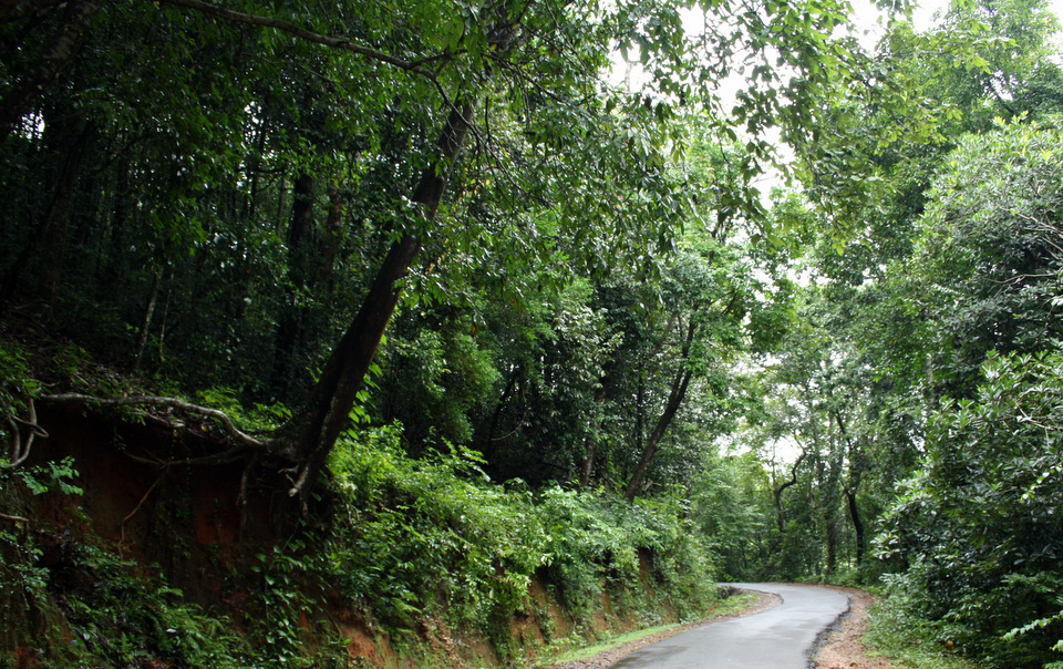 Kukke Subhrimaniya to Sulya Road