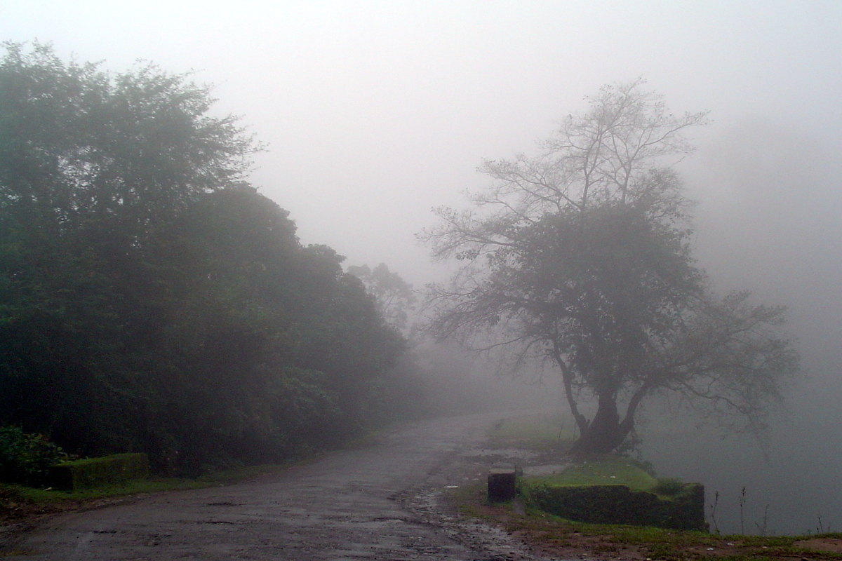 Road to Bagamandala from Madikeri during a rainy afternoon