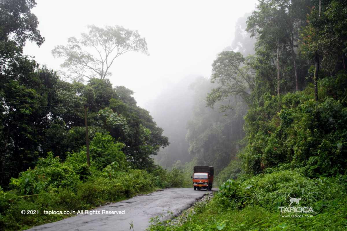 Coorg is misty and cool high altitude landscape. 