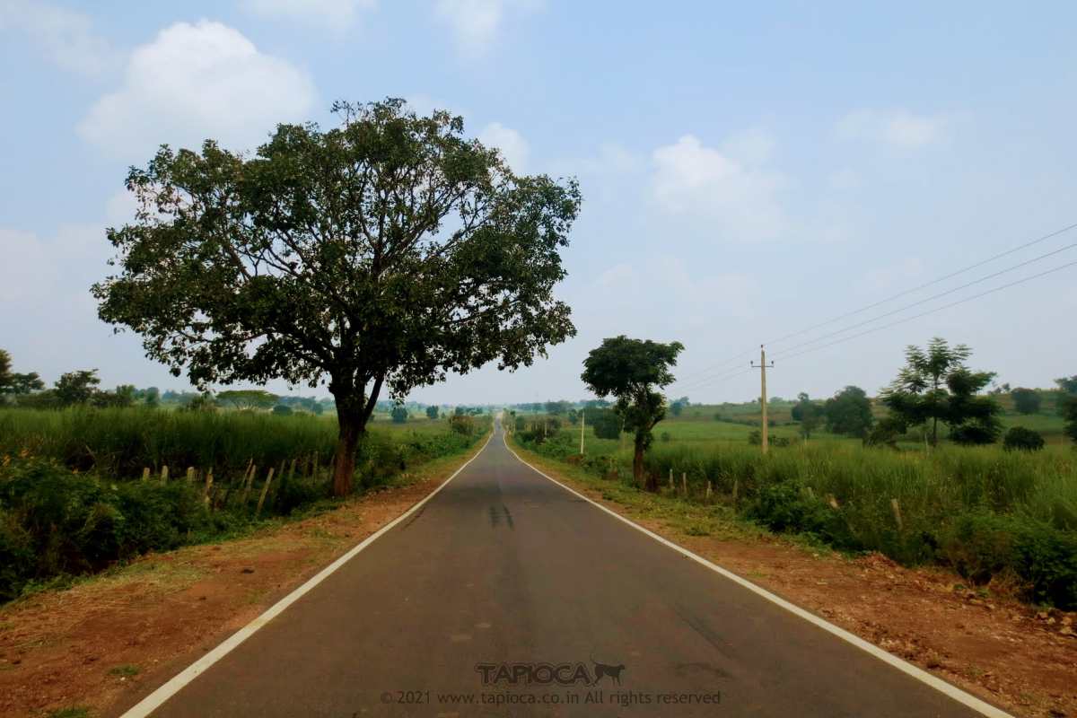 On the way to Wayanad from Mysore via Kabini