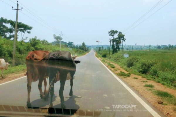 Karapura Road
