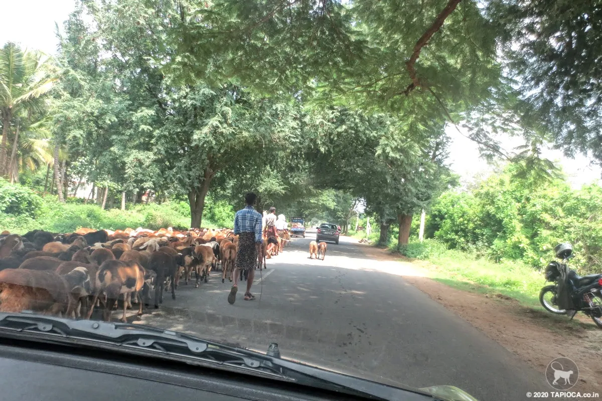 Mysore to Kabini Road