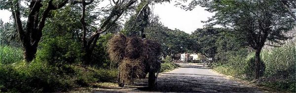 Bangalore to Somnathpur road