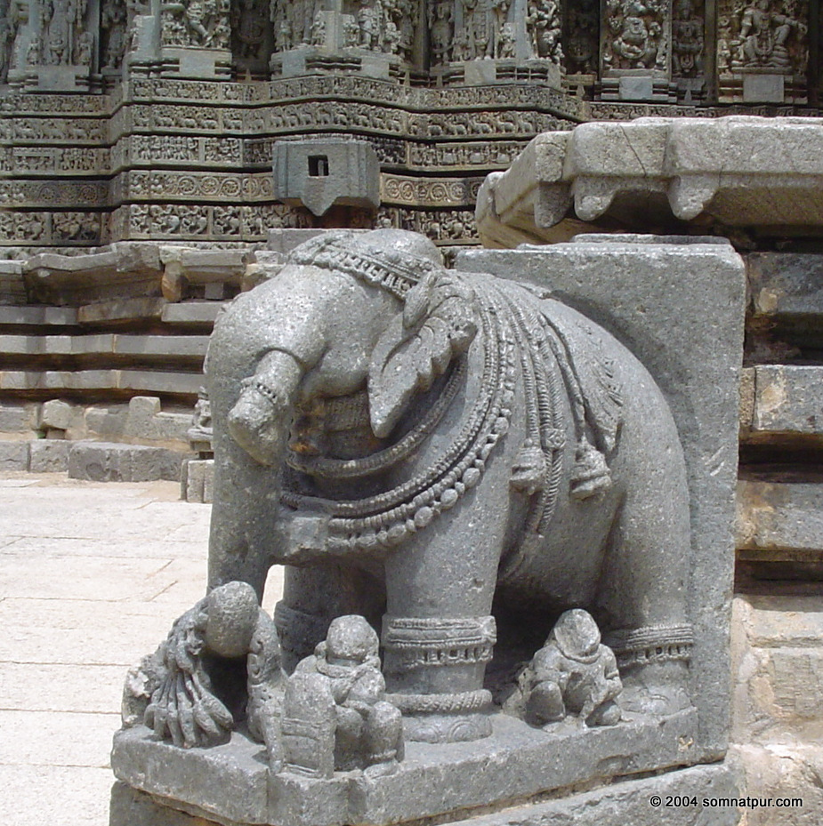 Elephant , Somnathpur, Karnataka