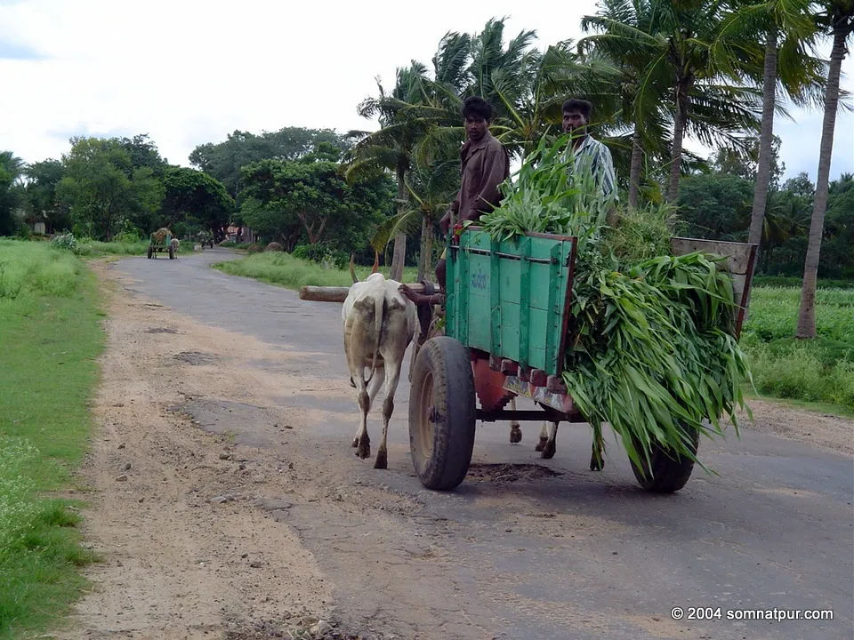 Road to Somnathpur from Bannur Road to Somnathpur from Mysore via Bannur
