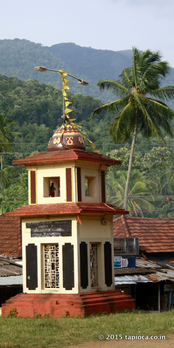 Achankovil village, seen in the background is the western Ghats forests