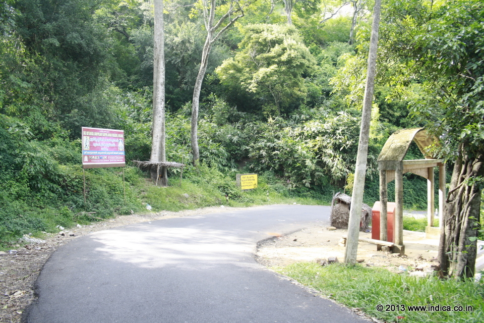 Shenkottai to Achankovil road near Kottavasal Karuppaswamy Temple