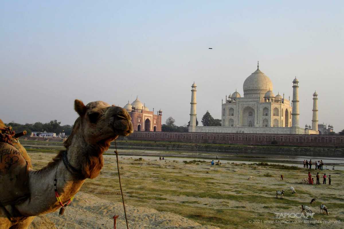 Taj Mahal viewed from the other side of Yamuna River