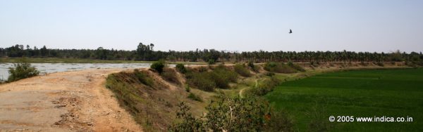 The road that built on a bund that takes you to Koravangala village
