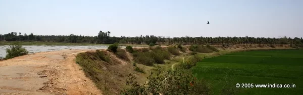 The road that built on a bund that takes you to Koravangala village