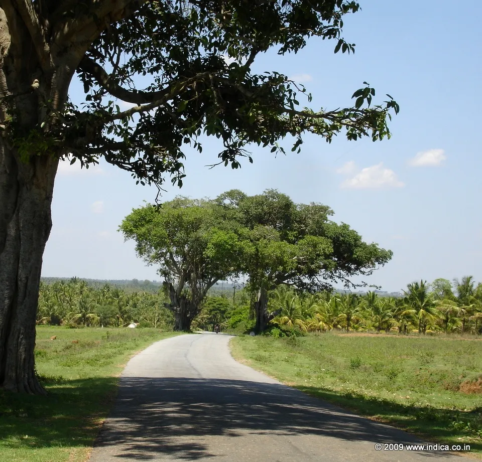 Road to Nuggehalli from Channarayapattna