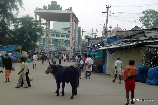 Palani Town