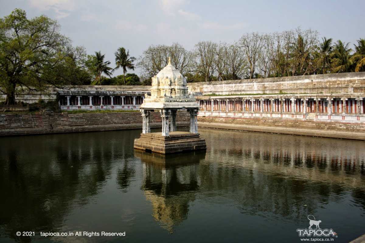 Sacred pont inside Ekambaranathar Temple.