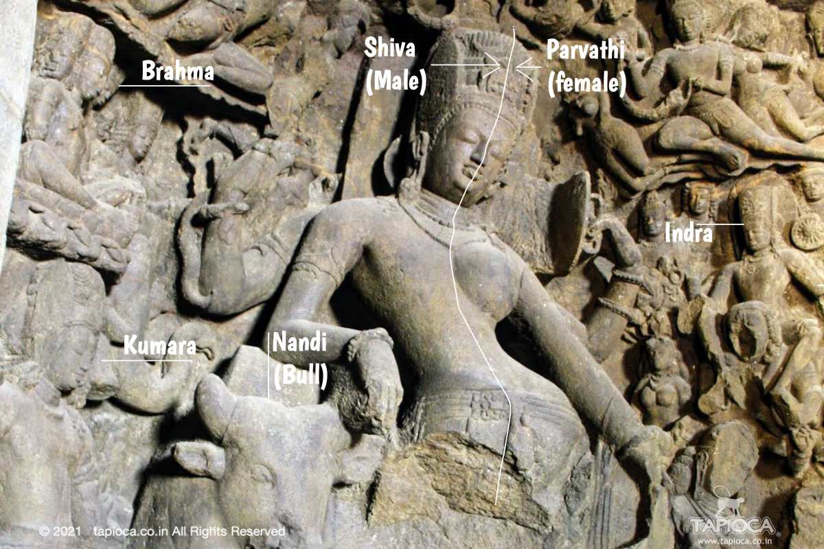 Ardhanarishvara : The half half-male half-female image of Shiva & Parvathi 