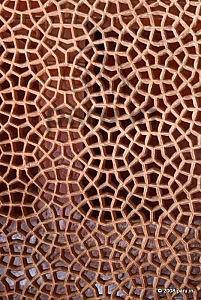 Fatehpur sikri Latticework circular pattern