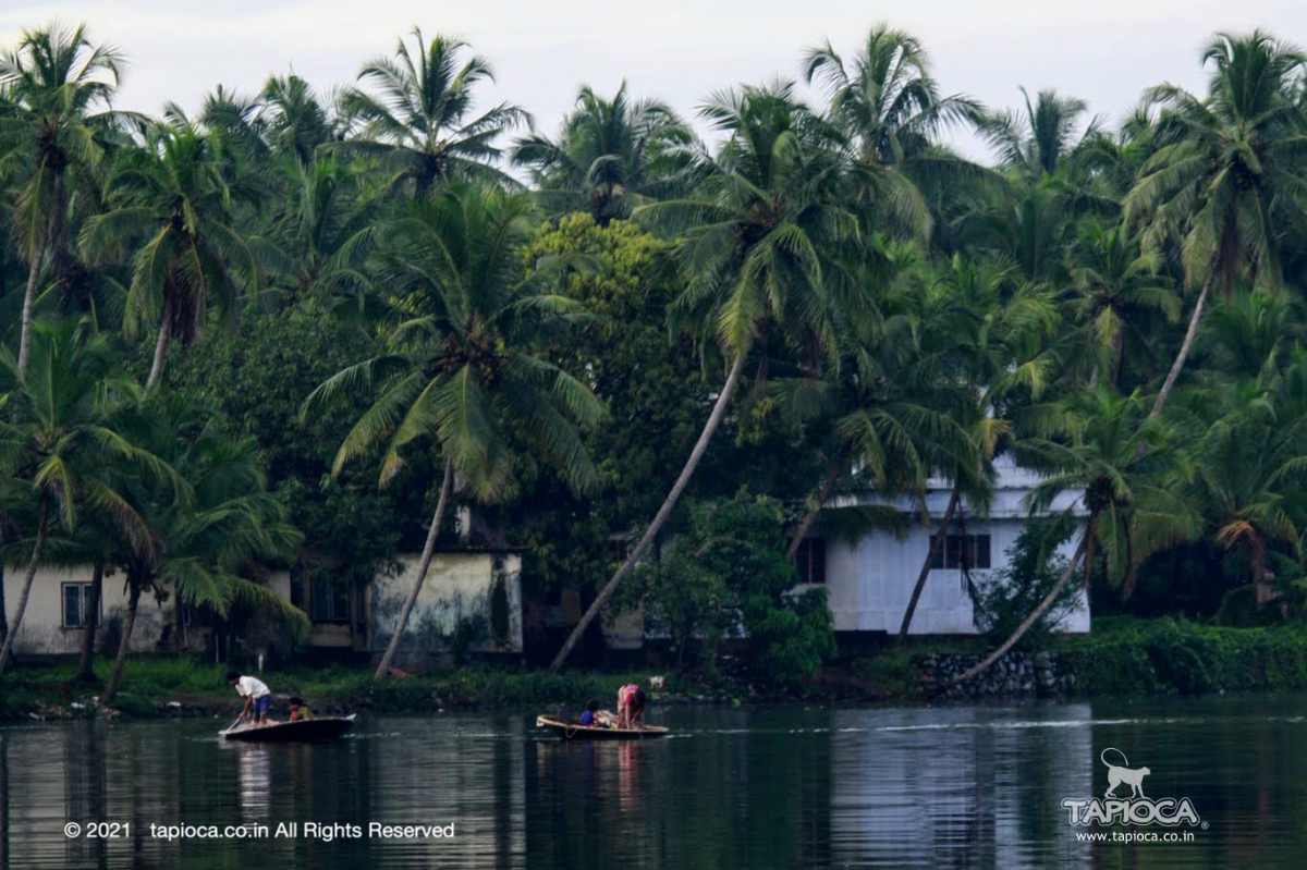 Coracle fishing in Kerala Backwaters 