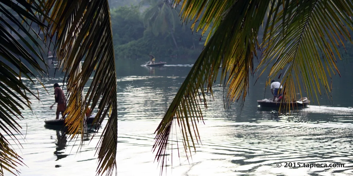 Coracle fishing