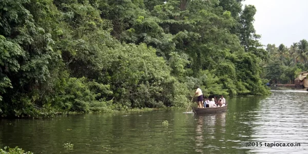 Canoe tour of Kumarakom in Vembanad Lake.