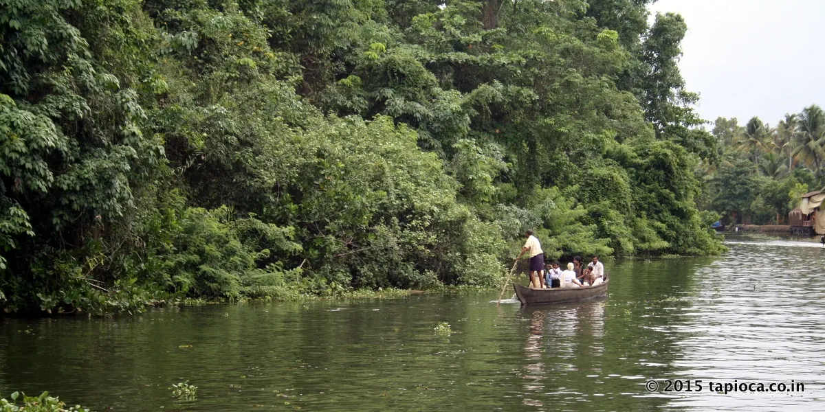 Canoe tour of Kumarakom in Vembanad Lake.