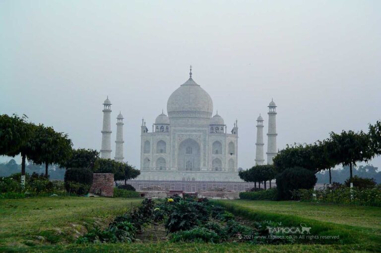 Mehtab Bagh