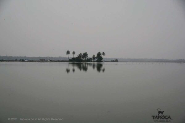 Backwaters in Vypin near Cherai Beach