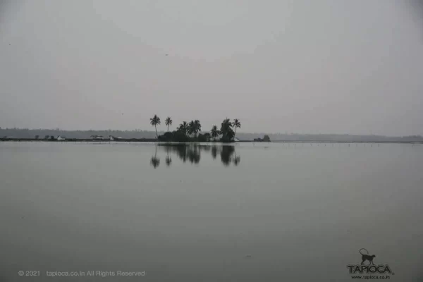 Backwaters in Vypin near Cherai Beach