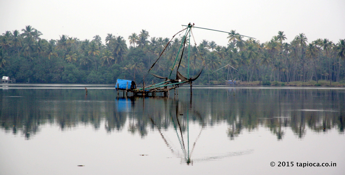 These are located in the middle of the backwaters.