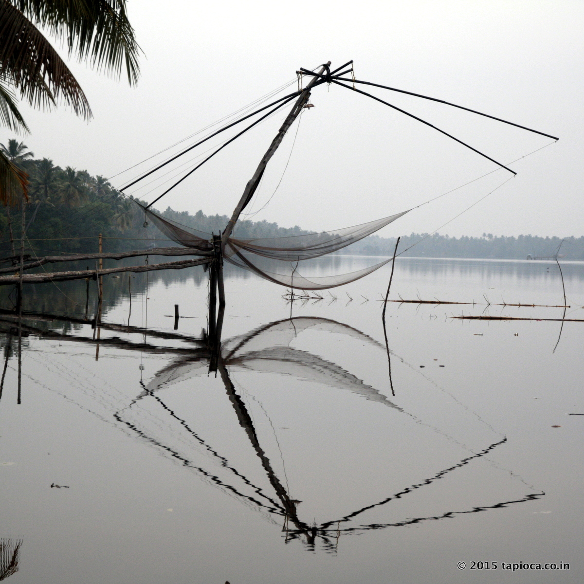There are quite a few locations in Cherai where you can see the Chinese Fishing net in action.
